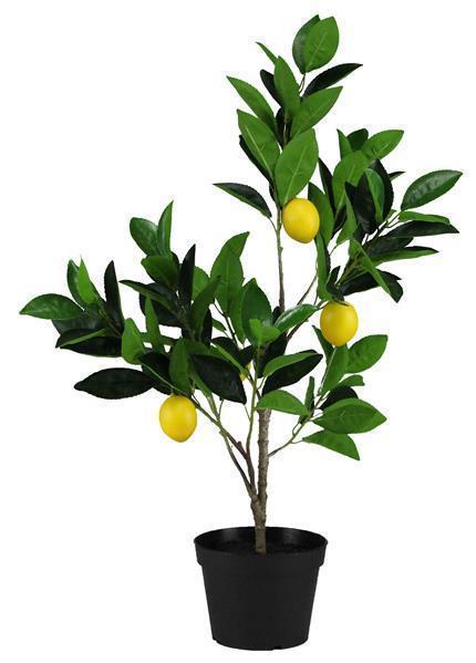 25"H LEMON TREE W/POT 2 - TONE GREEN