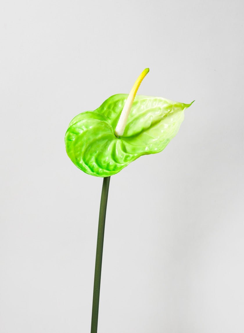 27 in Anthurium Spray, Green