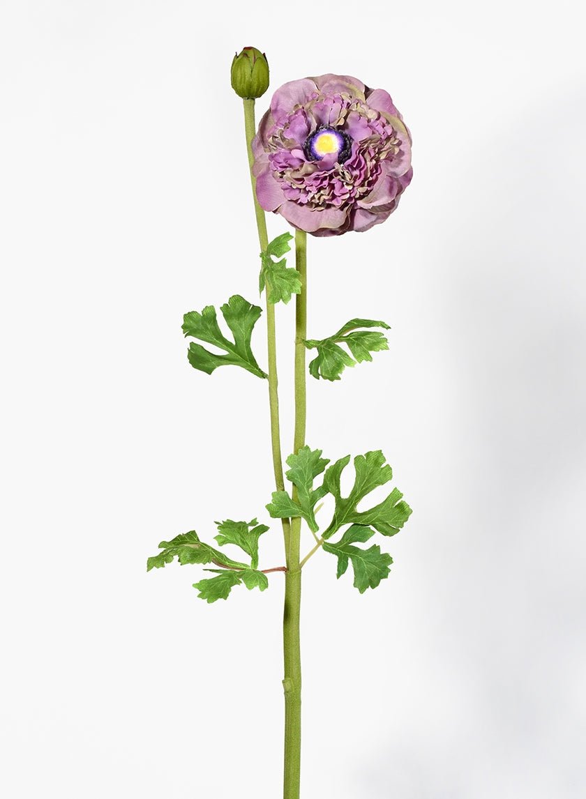 27 in Purple & Green Ranunculus