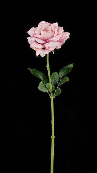 27.5"L PEONY STEM DUSTY ROSE/LAVENDER