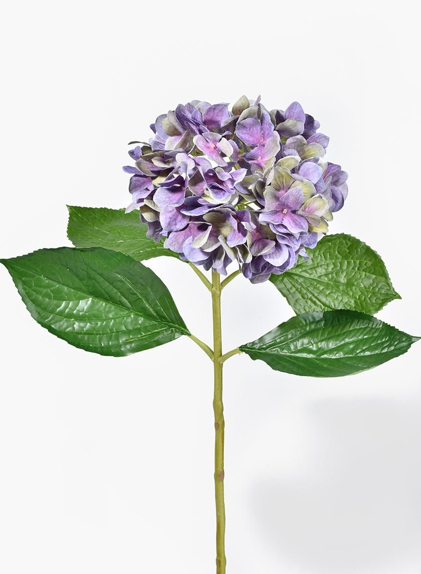 28 in Antique Purple Hydrangea