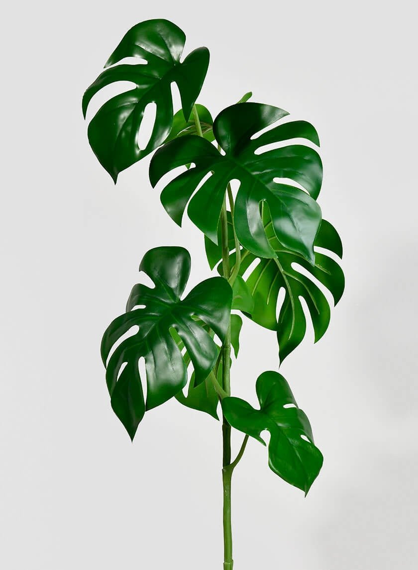 28 in Small Monstera Leaf Spray