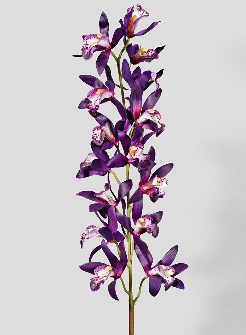41 in Deep Purple Dendrobium Orchid