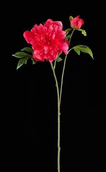 28.75"L PEONY SPRAY ROSE PINK