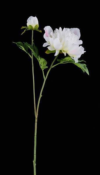 28.75"L PEONY SPRAY WHITE