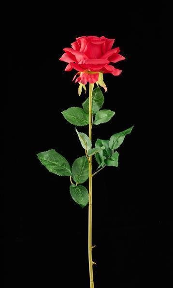 28"L SINGLE ROSE STEM RED