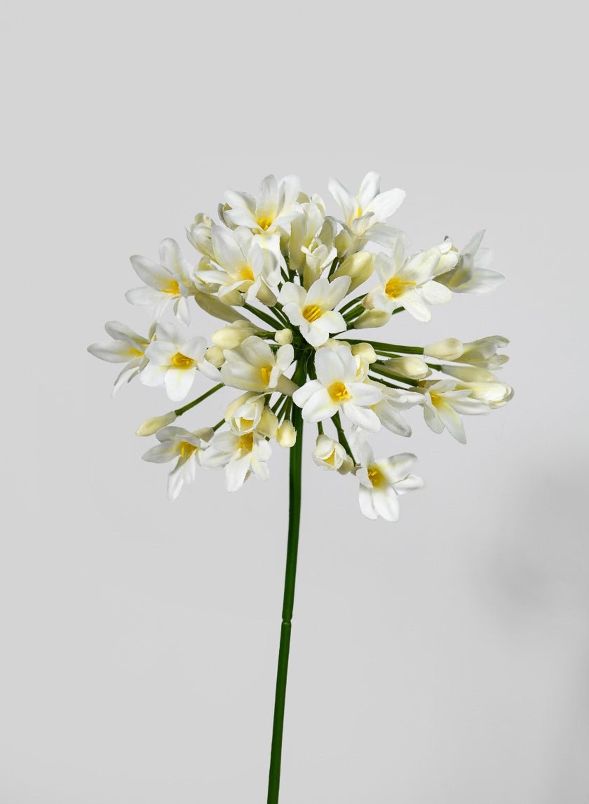 29 ½ in Agapanthus Spray