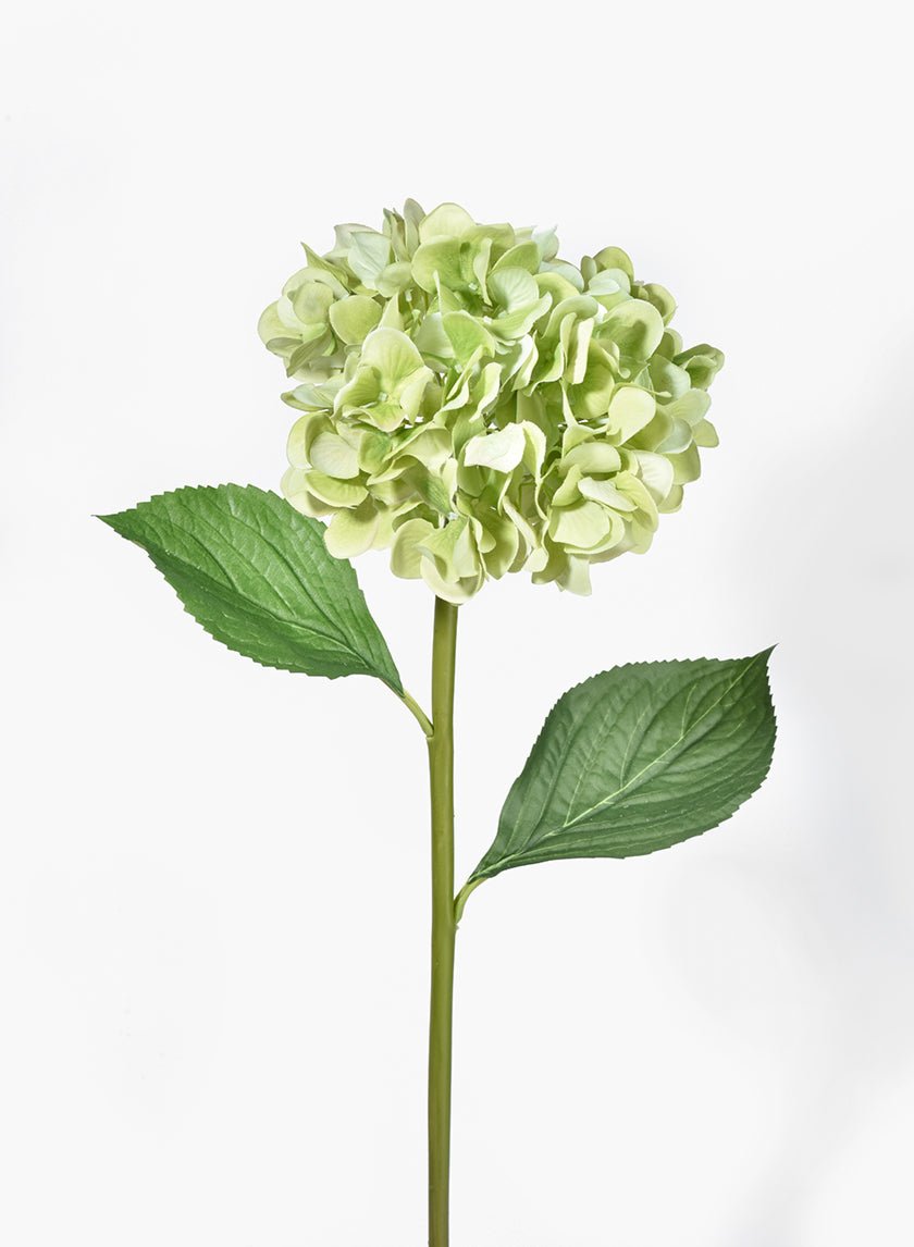 29-in-green-hydrangea