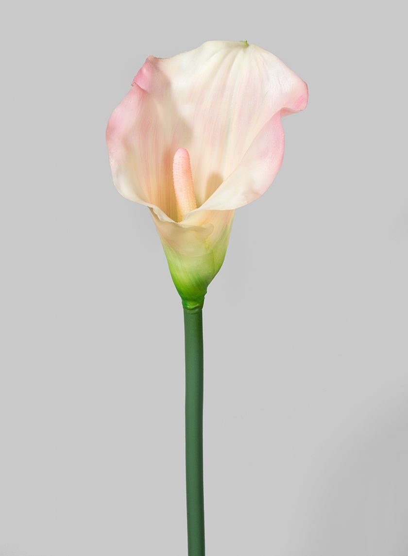 29 in Pale Pink Calla Lily