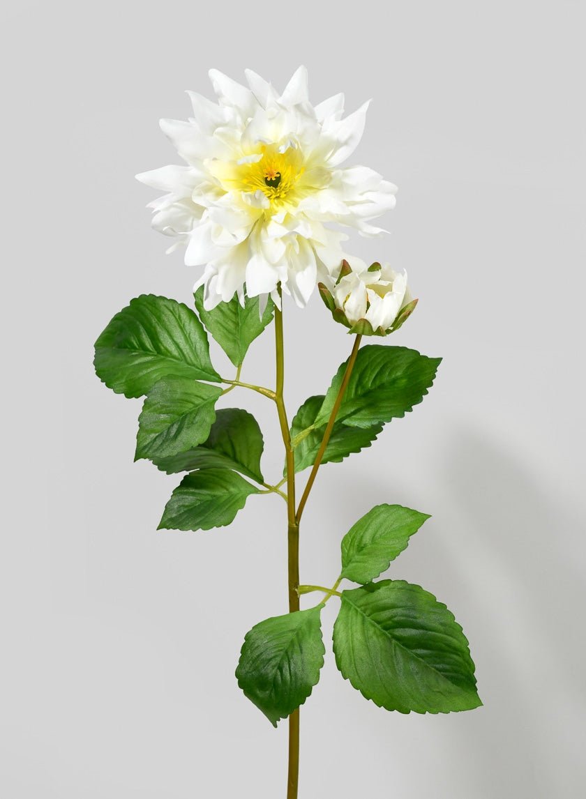 29 in White Dahlia Stem