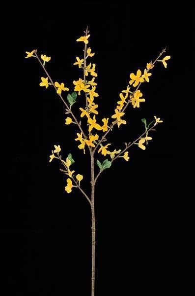 29"L FORSYTHIA SPRAY YELLOW