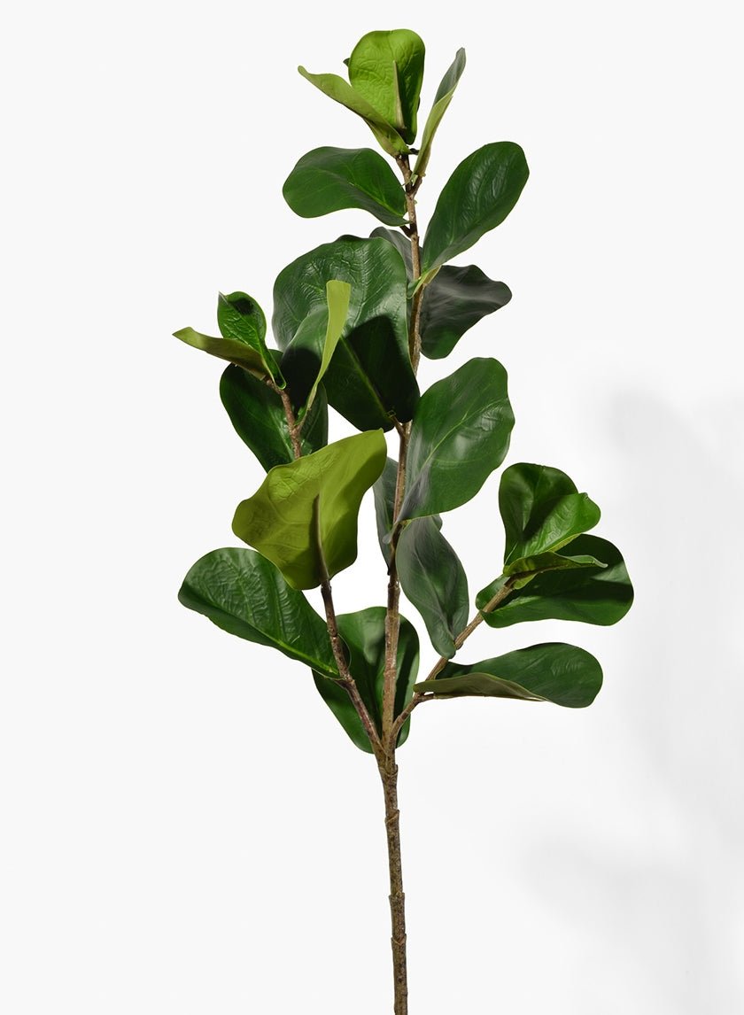 30 in Fiddle Leaf Fig Spray