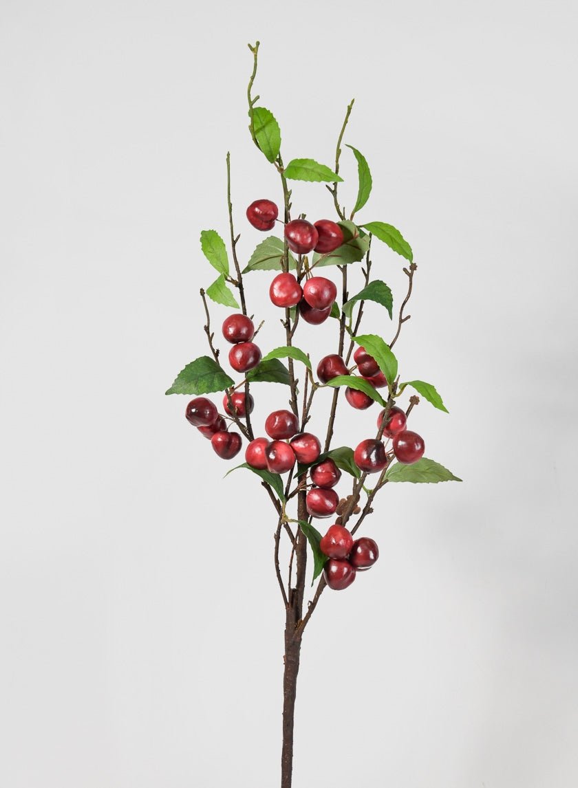 30 in Red Cherry Branch