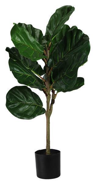 30"H FIDDLE LEAF FIG **SHOW SPCL** 2 - TONE GREEN (WAS $33.50)