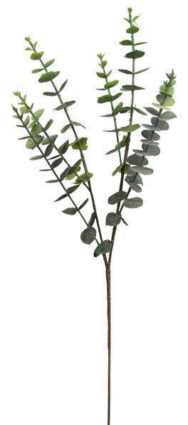 30"L EUCALYPTUS SPRAY GREEN