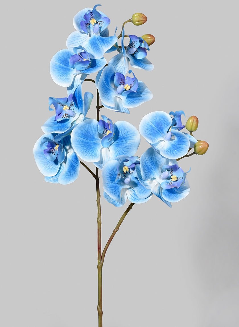 31 in Real - Touch Blue Butterfly Orchid