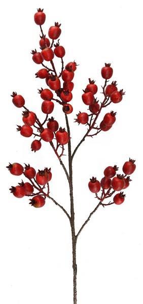 31"L WILD ROSE HIP SPRAY RED