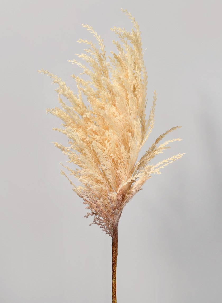 32 in Pampas Grass