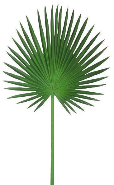 33"L FAN PALM STEM GREEN