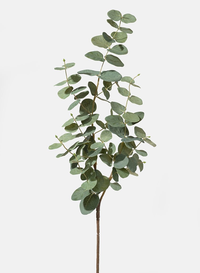 34 in True Blue Eucalyptus