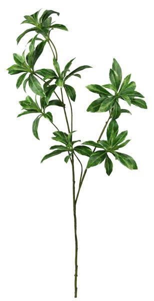 34.5" PIERIS JAPONICA LEAF SPRAY 2 - TONE GREEN