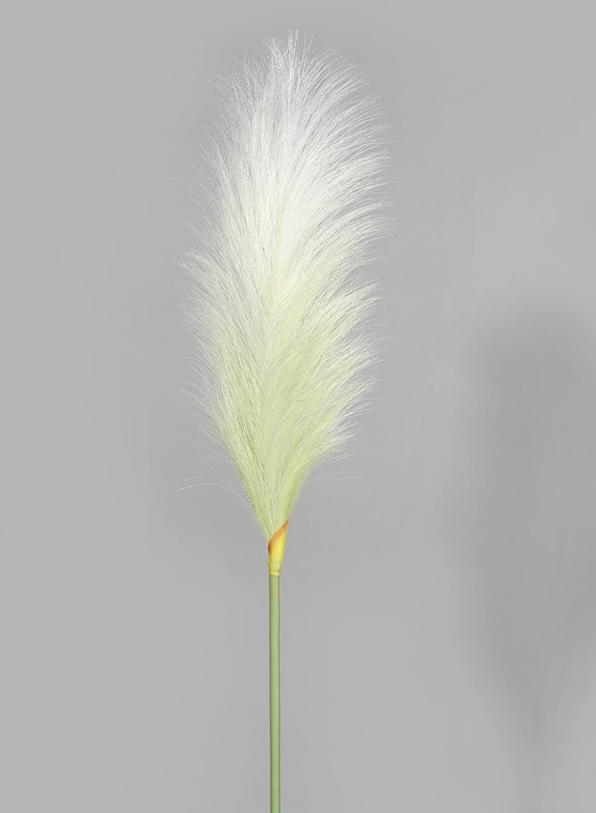 35 in Pampas Grass