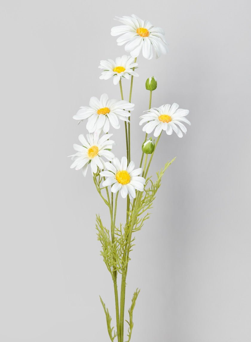 35 in White Shasta Daisy Spray