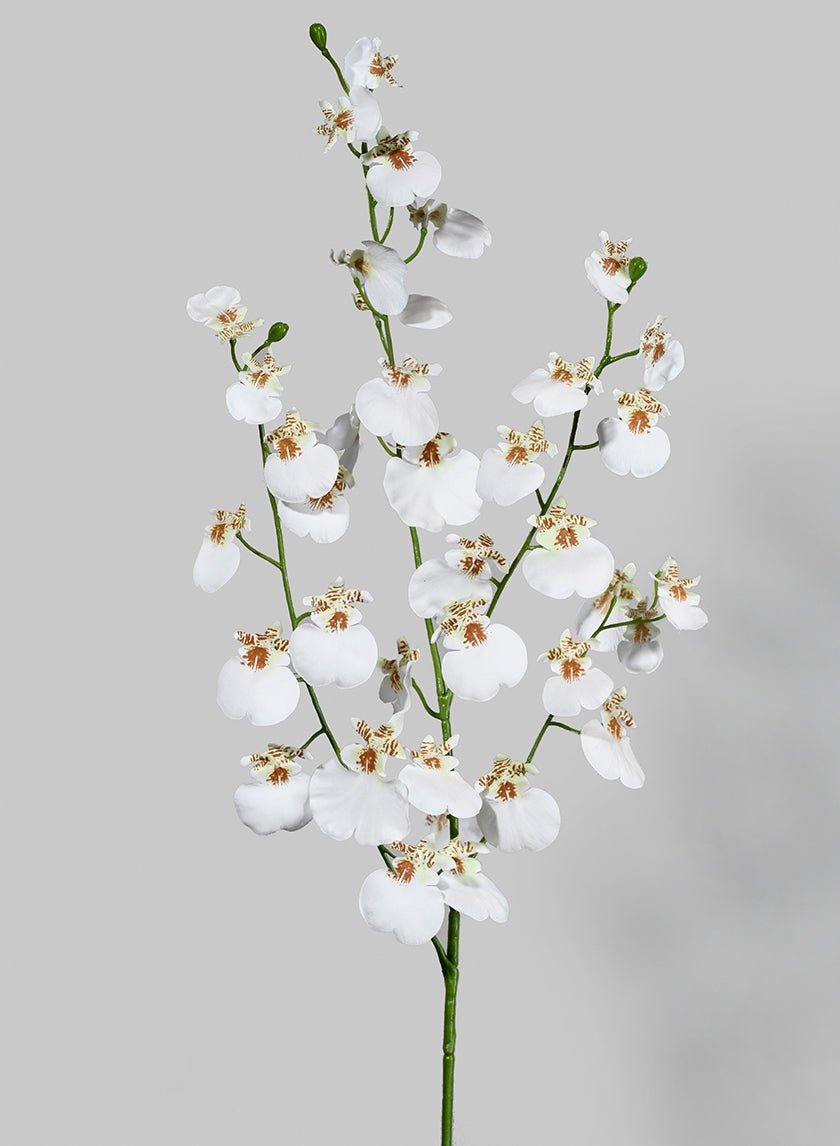 36 in White Dancing Orchid Spray