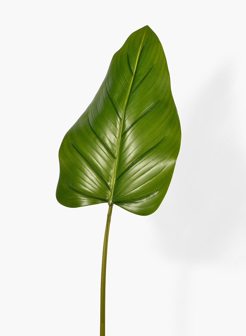 37 in Beryl Leaf