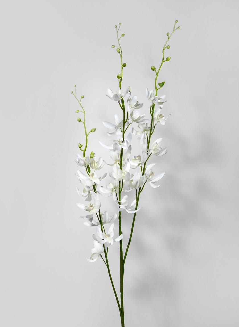 37 ½ in Chinese Cymbidium Spray