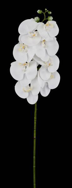 37"SOFT PHALAENOPSIS ORCHID STEM WHITE