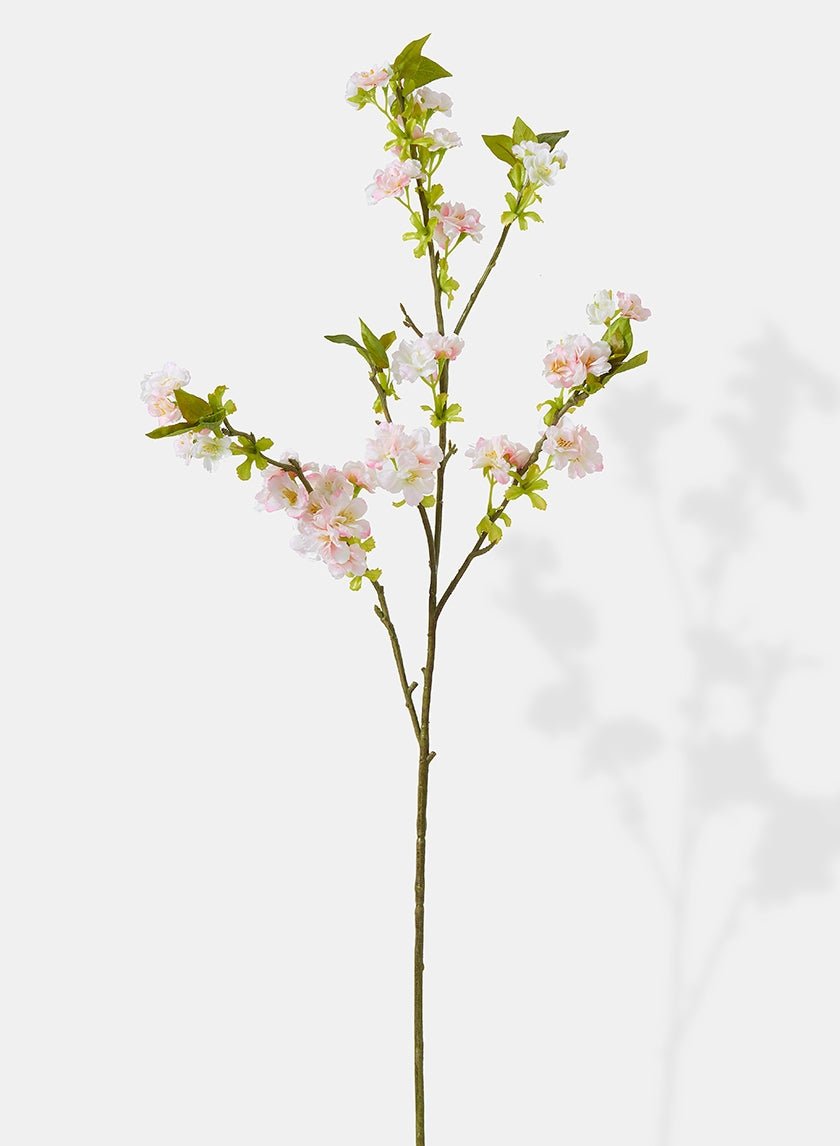 38 in Cream Sakura Branch