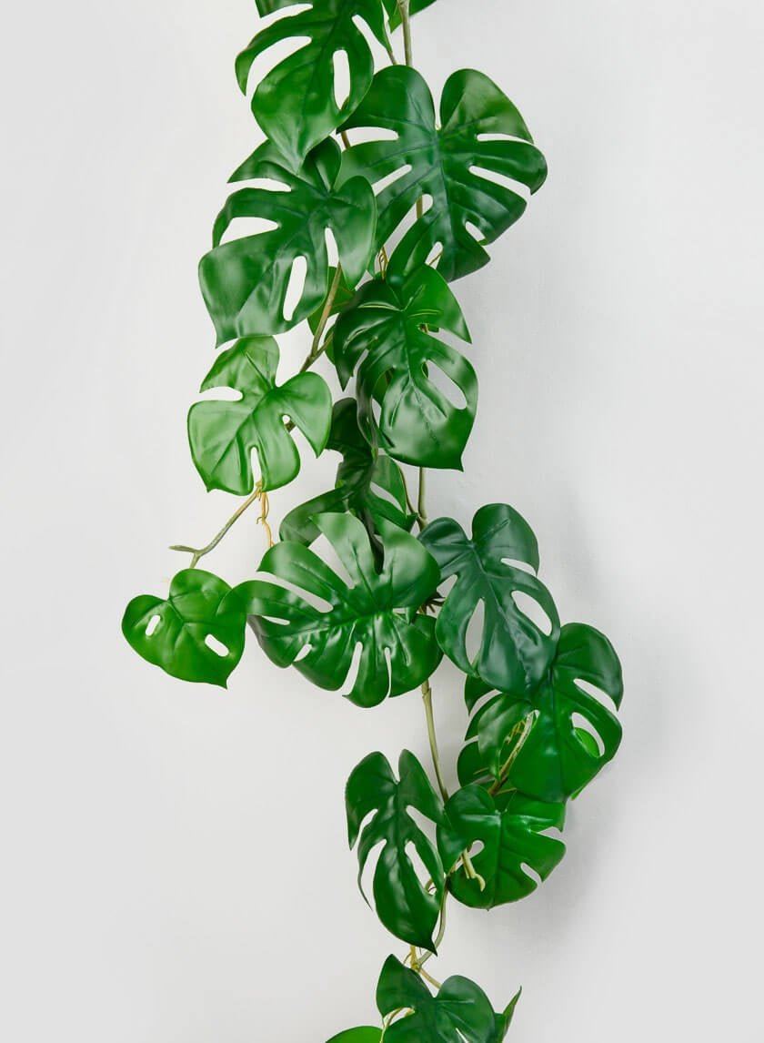 41 in Monstera Leaf Vine