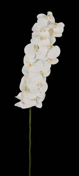 41"L PHALAENOPSIS ORCHID SPRAY WHITE