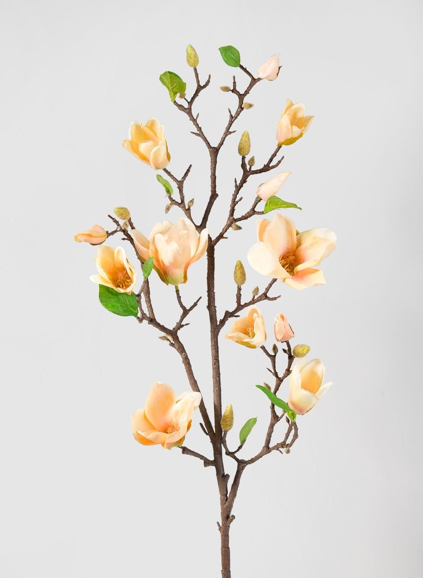 42 in Peach Magnolia Blossom Branch