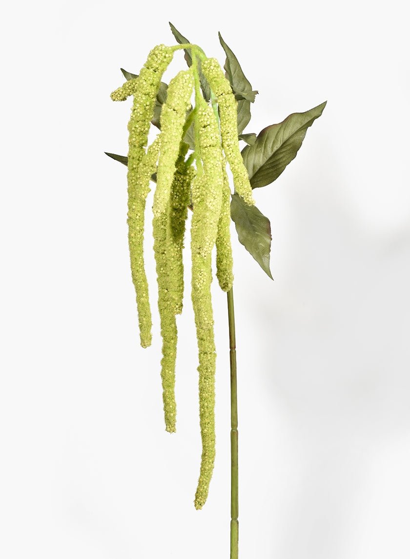 43 in Green Amaranthus Ponytails