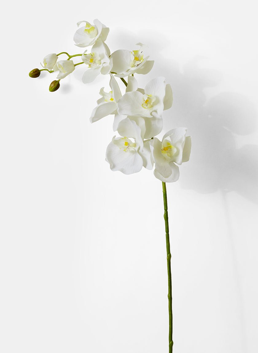 43 in White Phalaenopsis Orchid Spray