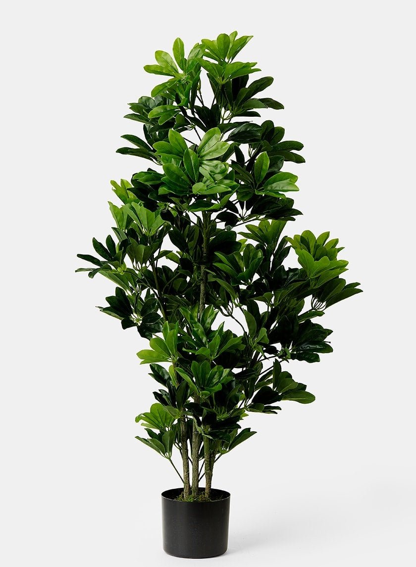 44 in Tall Artificial Schefflera Tree