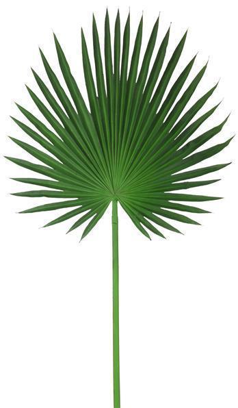 44"L FAN PALM STEM GREEN