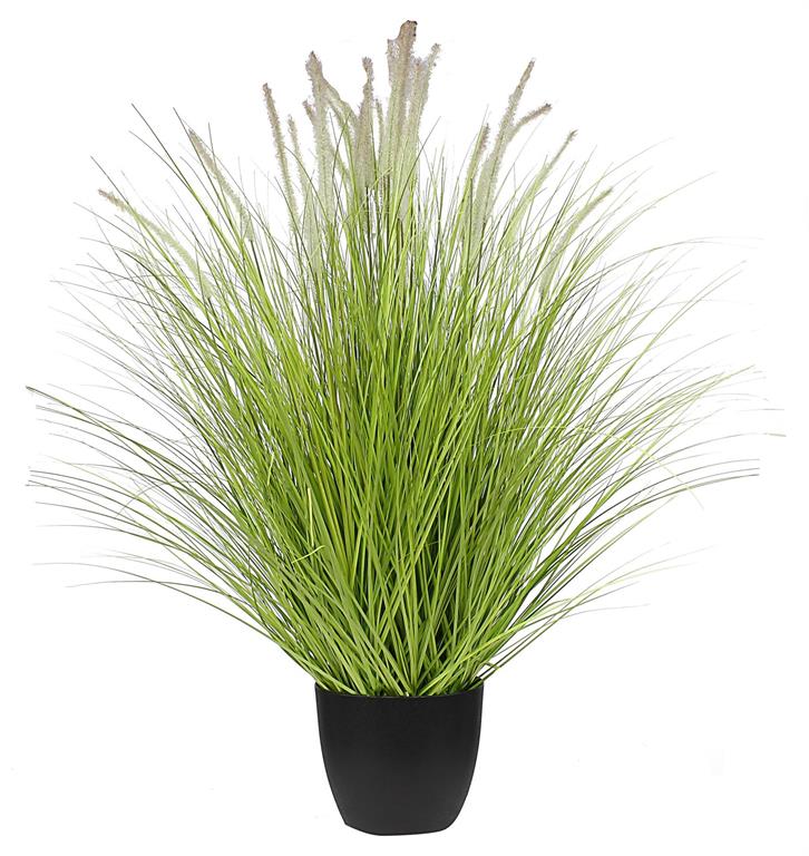 45"H POTTED DOG TAIL PLANT ***MINIMUM 2*** SPRING GREEN