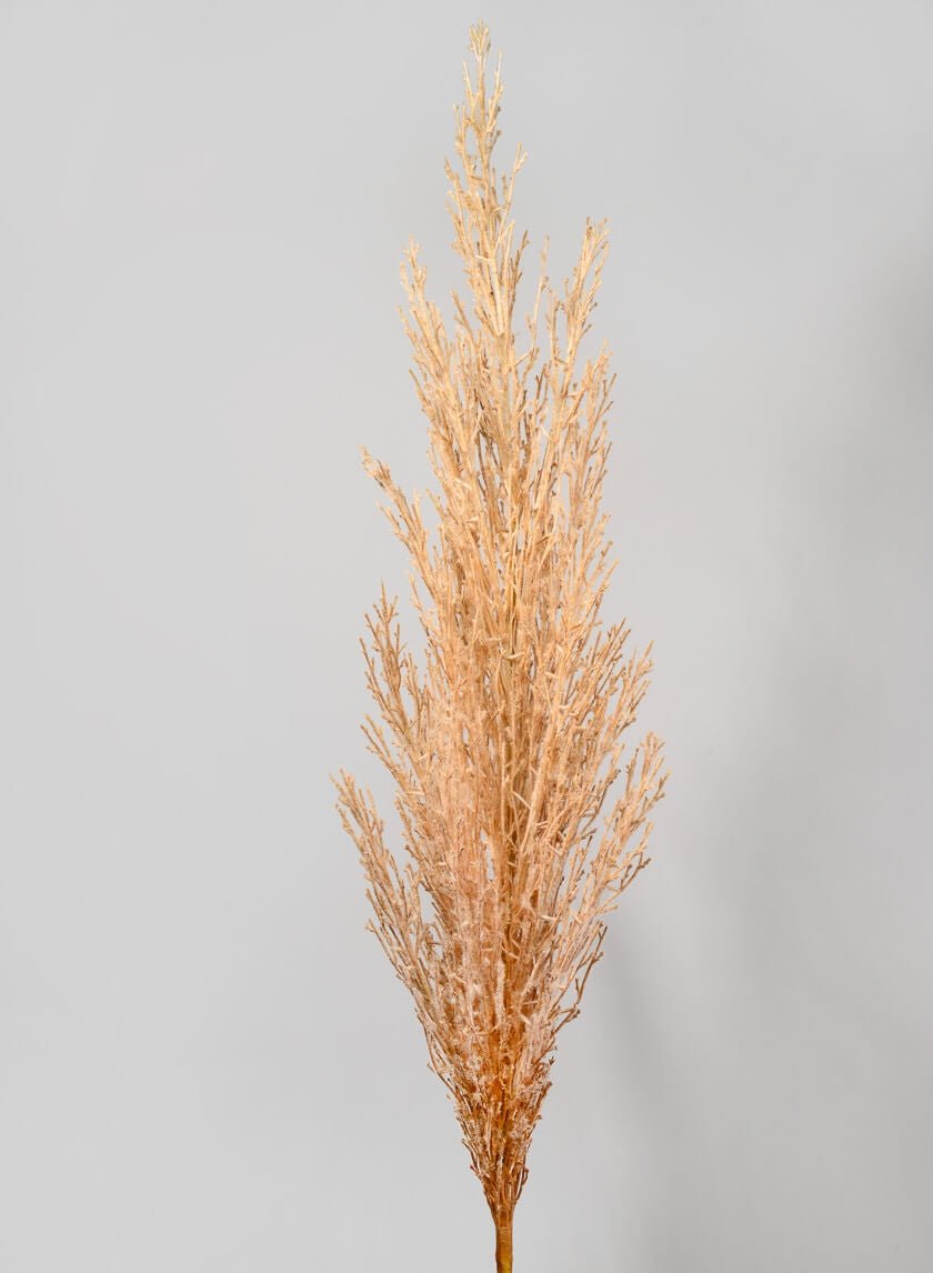 47 in Tan Pampas Grass Reed