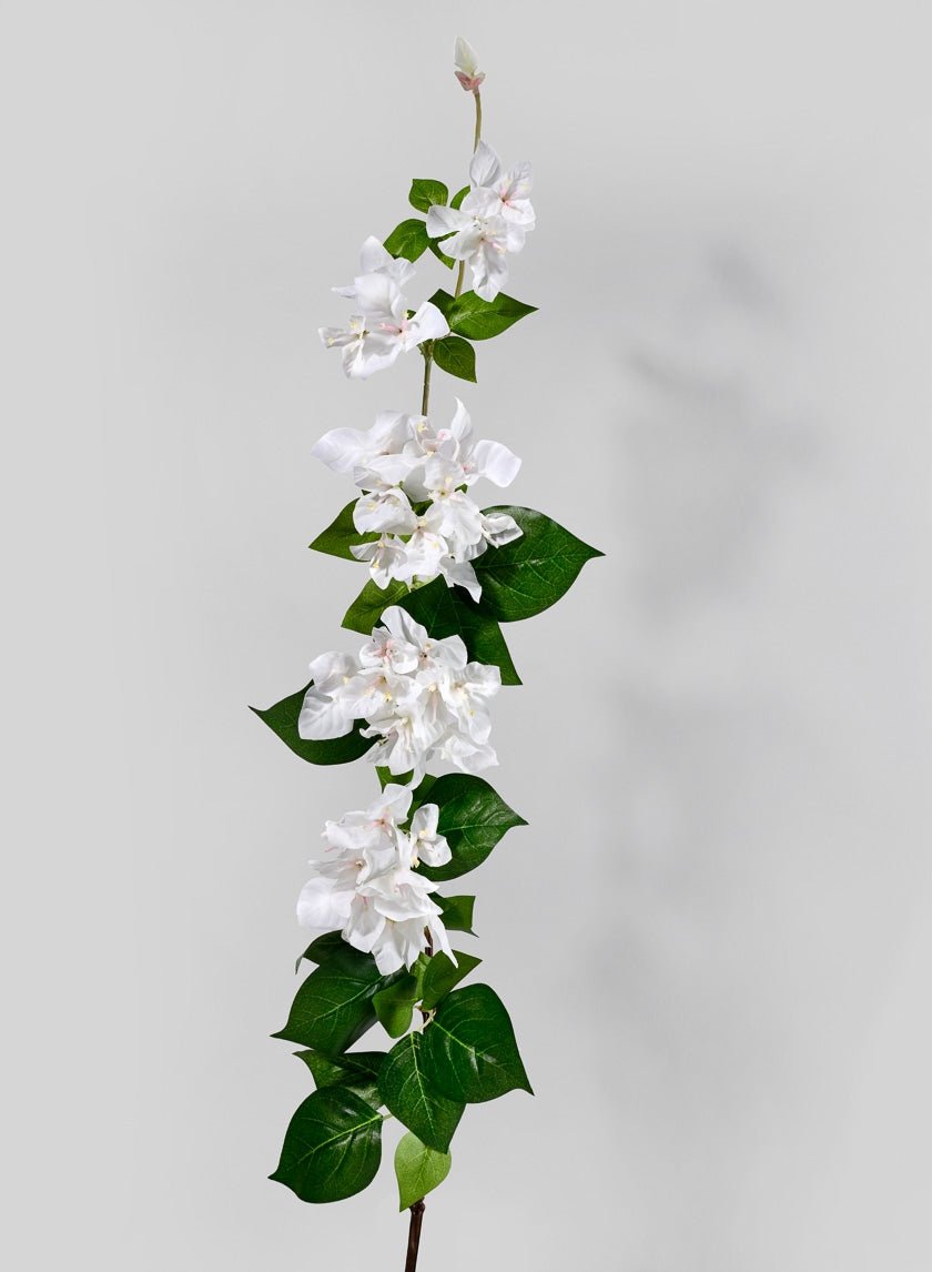 47 in White Bougainvillea Spray