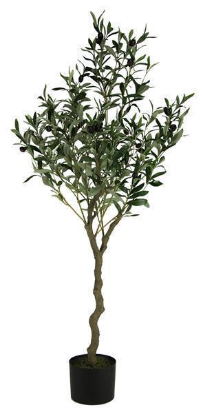 48"H POTTED OLIVE TREE **MINIMUM 2** GREEN