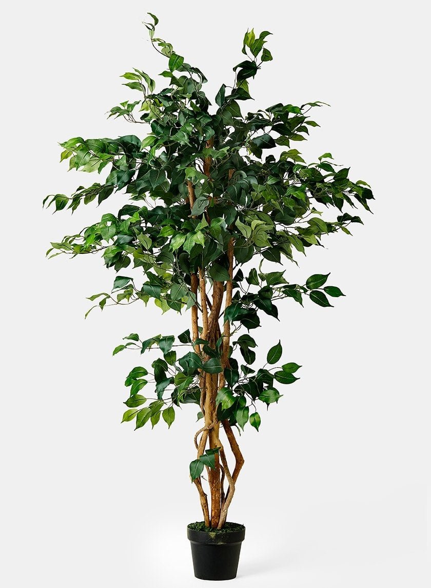 5 ft Artificial Ficus Tree