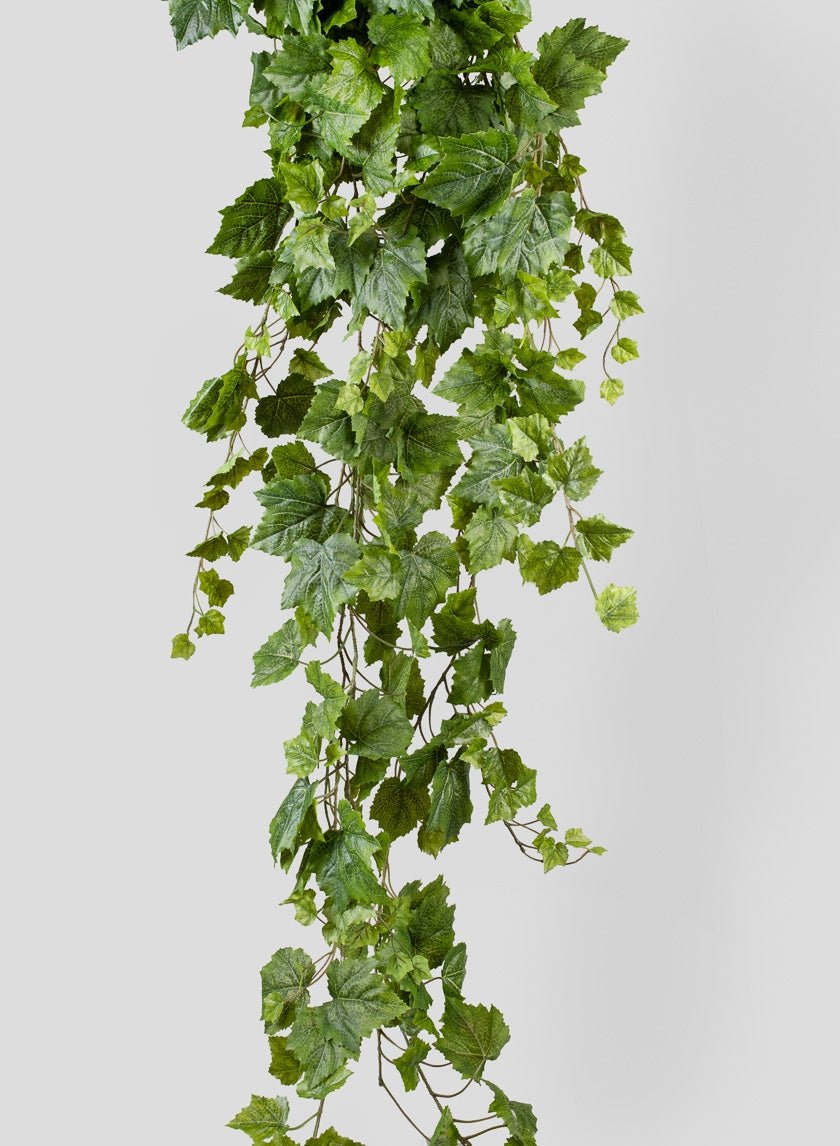 5 ft Grape Ivy Hanger