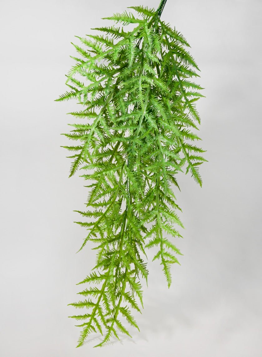 50 in Tropical Fern Hanging