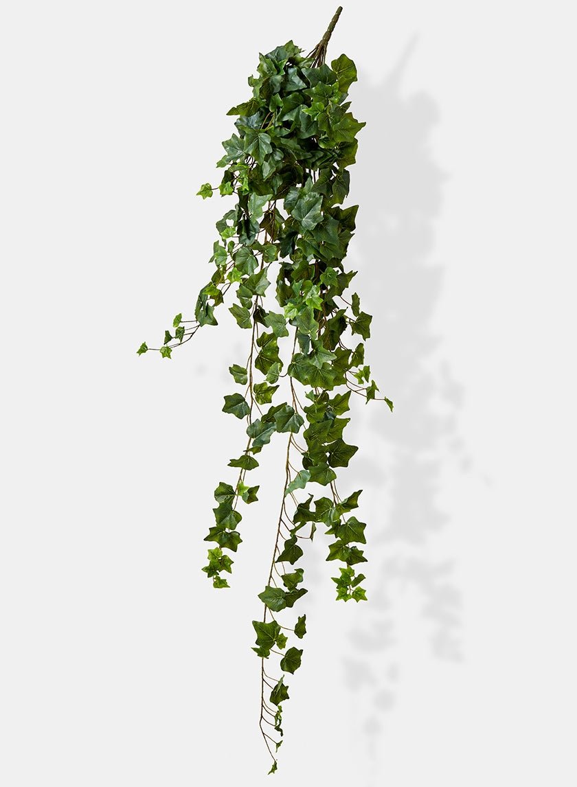 51 in English Ivy Hanger