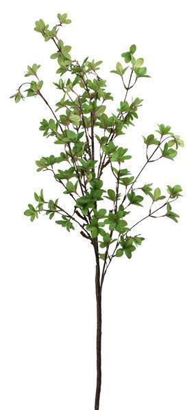 51"L WATERCRESS LEAF SPRAY GREEN