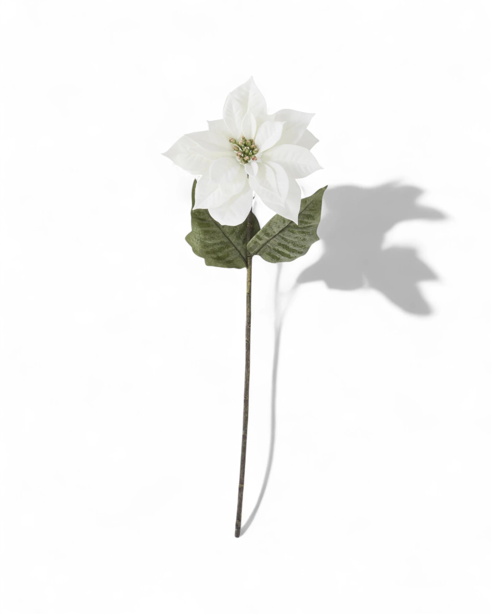29 Inch White Poinsettia Stem