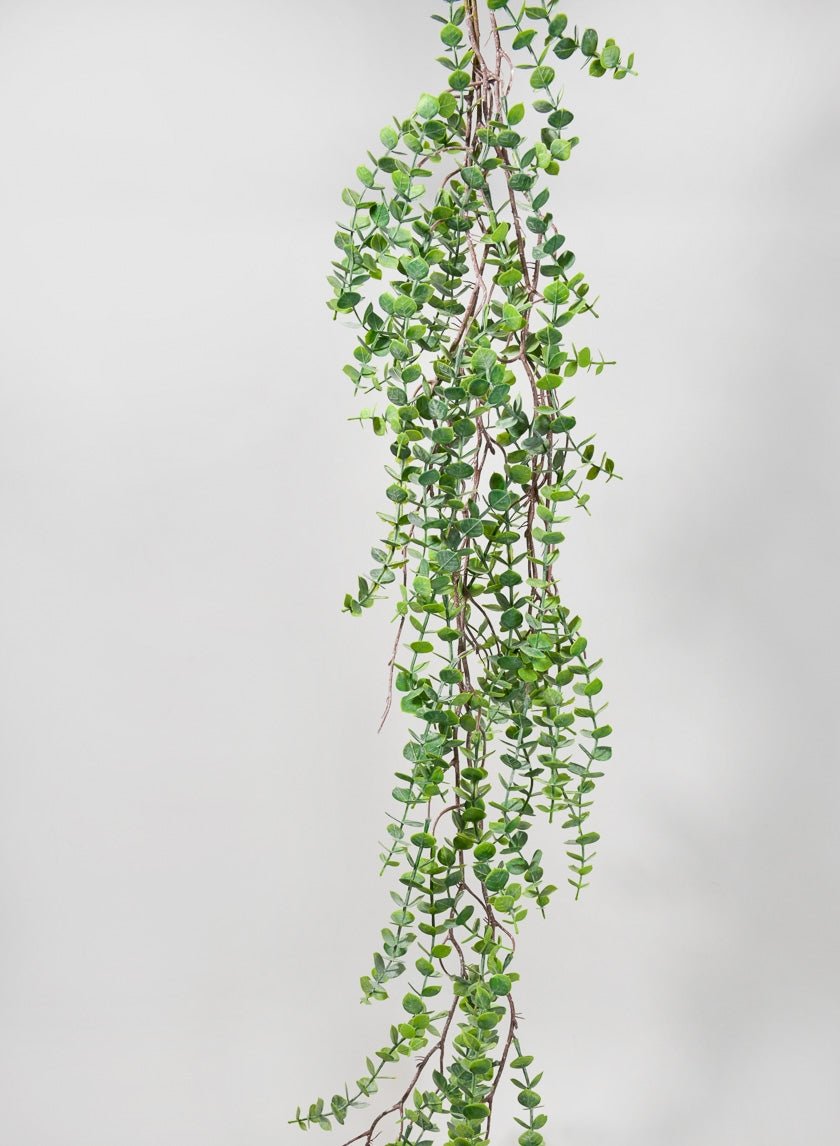 55 in Woody Eucalyptus Garland